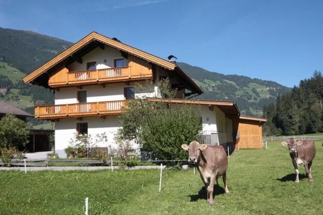 Gaestehaus Hauser Hainzenberg Eksteriør billede